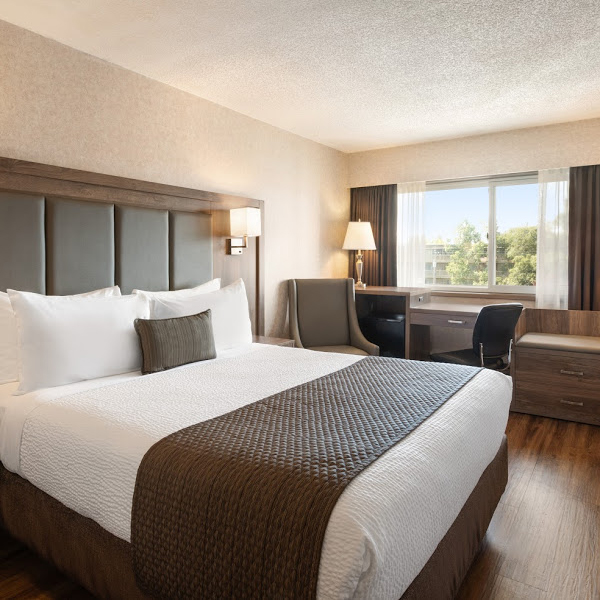  Standard Room: 1 Queen Bed