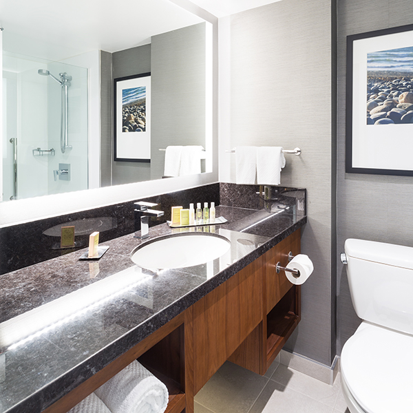 City View Room Bathroom