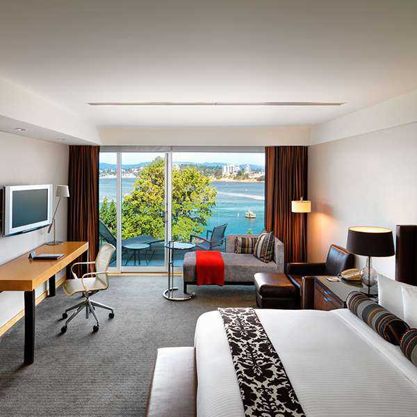 Pet Friendly Amenities